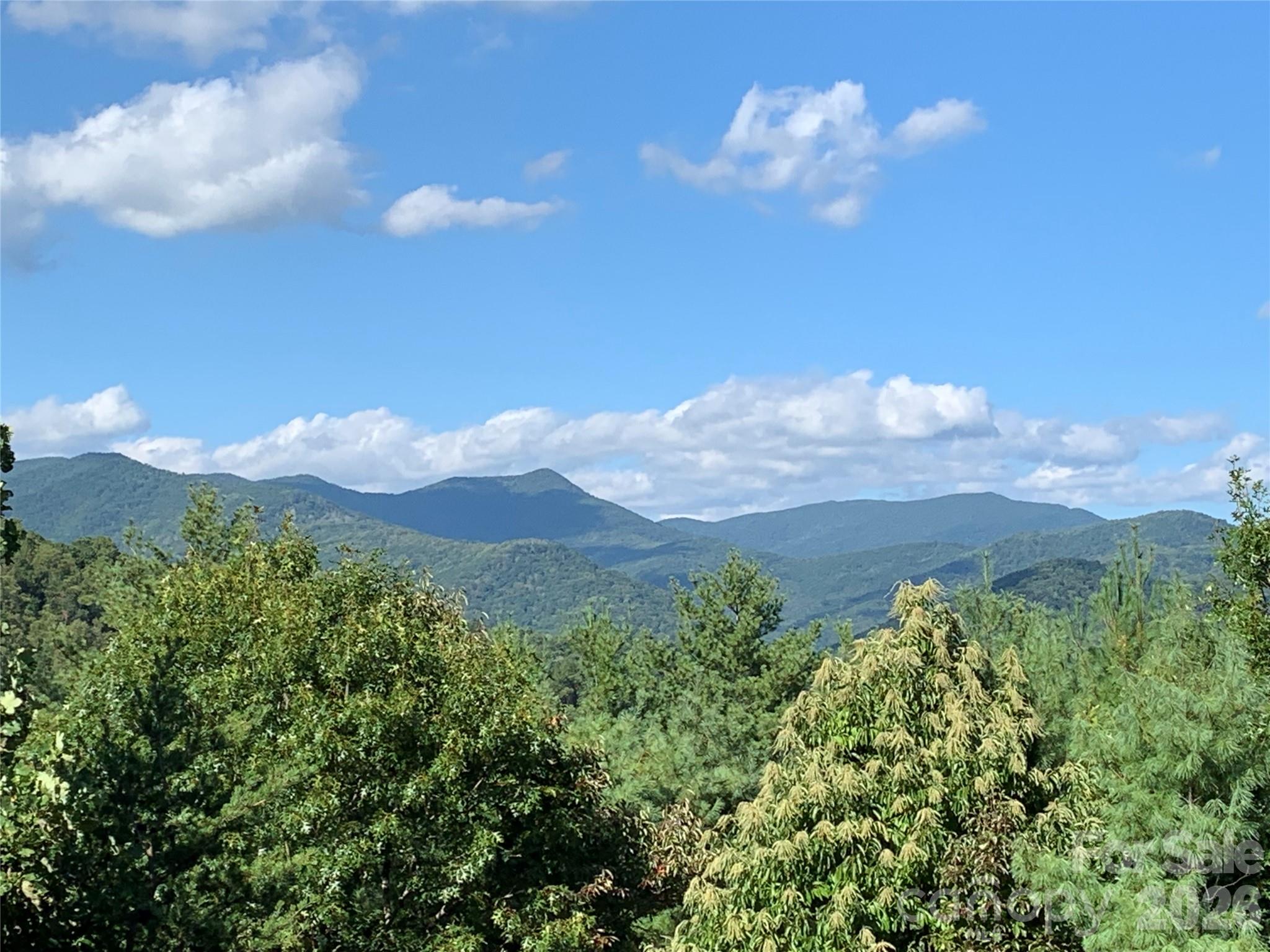 31 Bear Den Road Asheville NC 28805