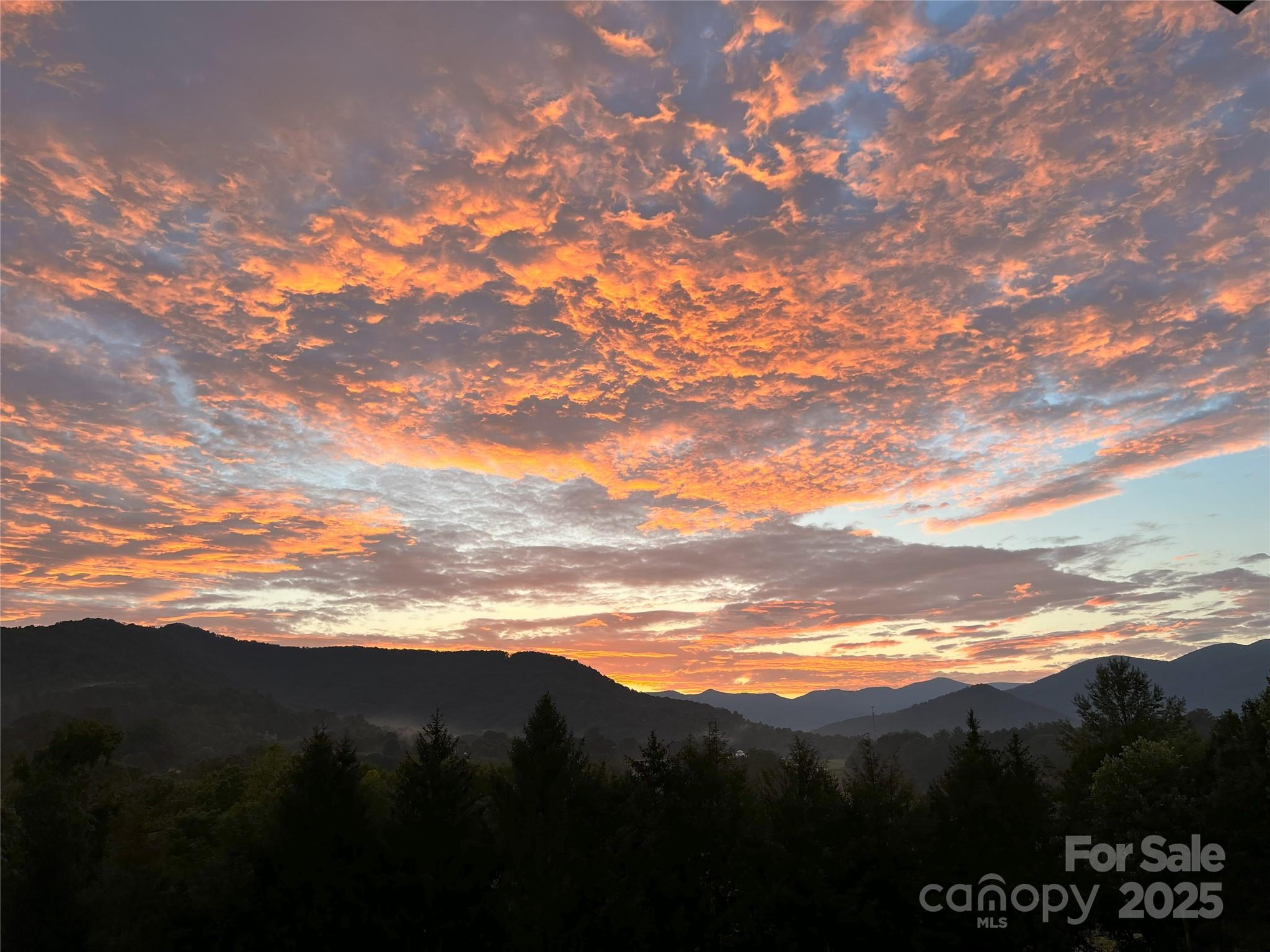 57 Union Chapel Road Weaverville NC 28787