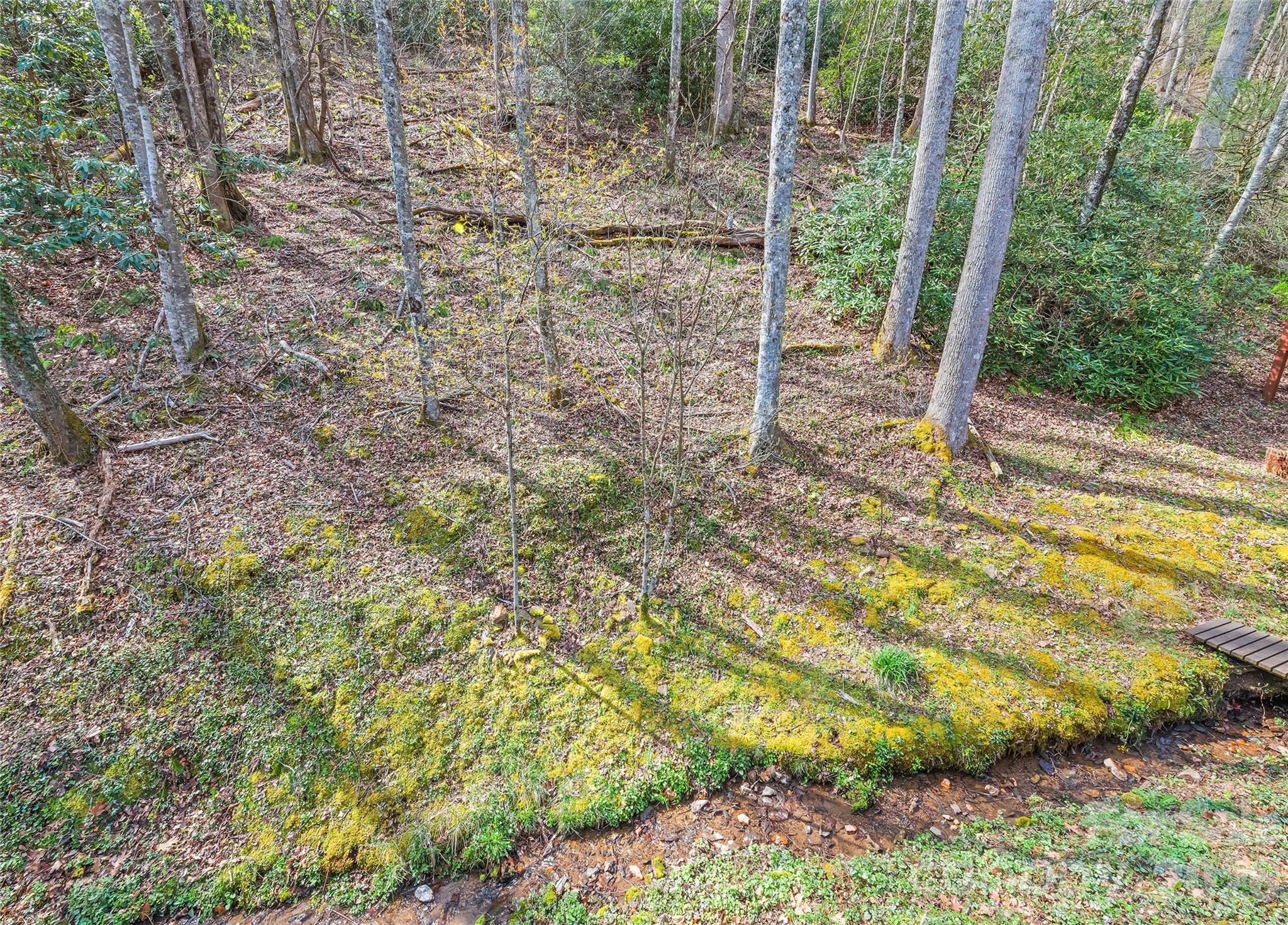 41 Trapper Lane Waynesville NC 28785