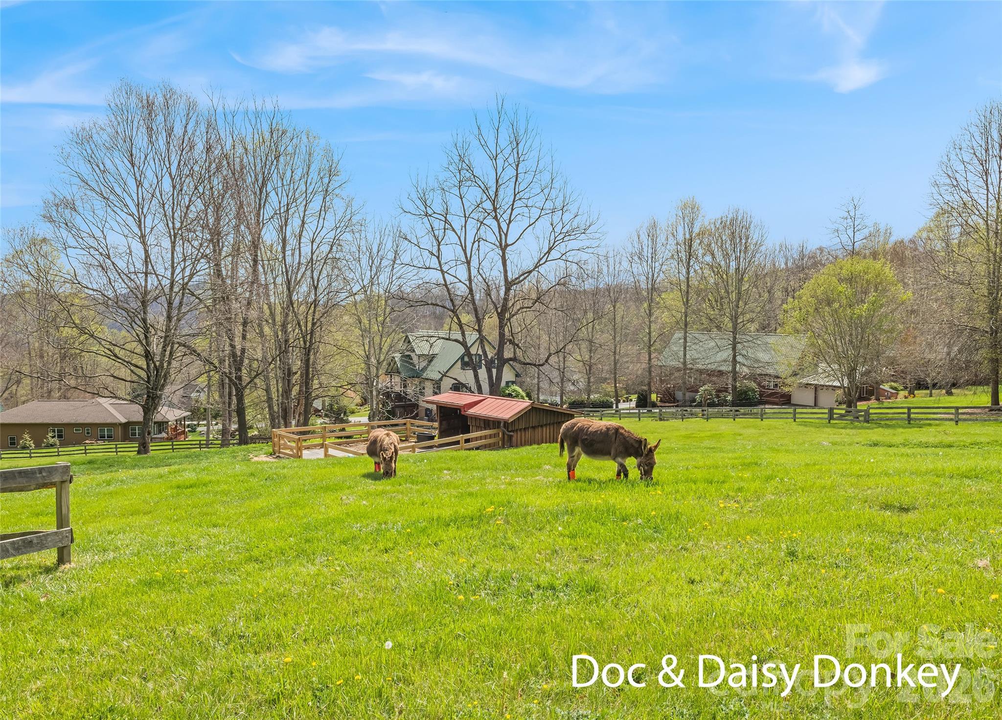 41 Trapper Lane Waynesville NC 28785