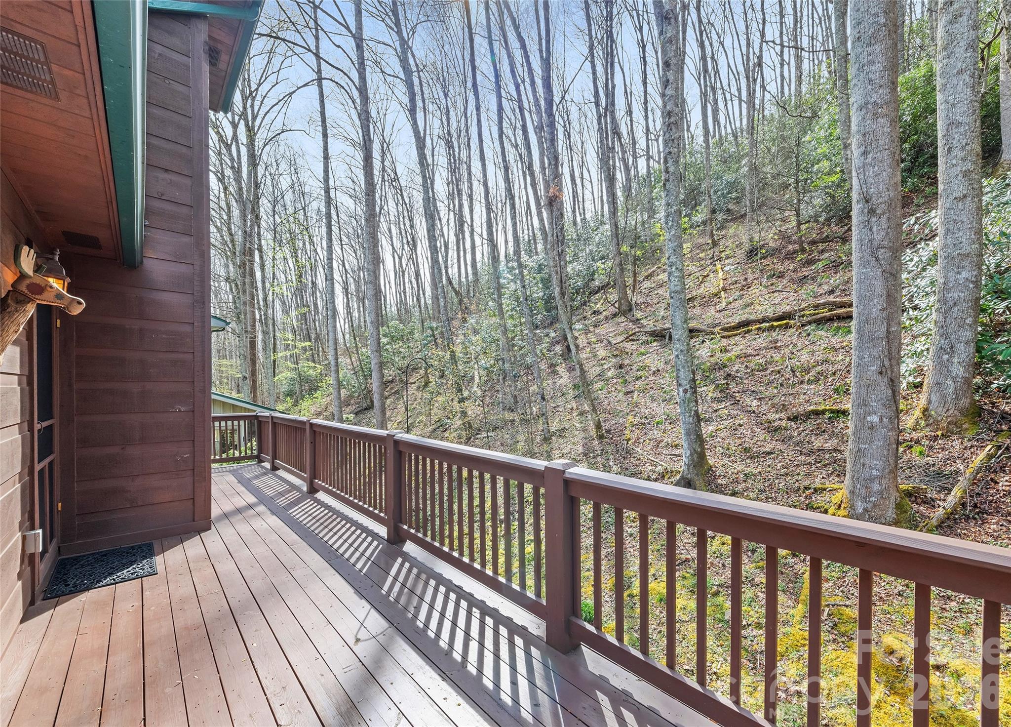 41 Trapper Lane Waynesville NC 28785