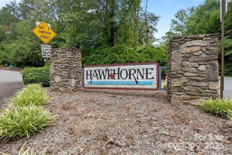 13C Windflower Court Asheville NC 28805