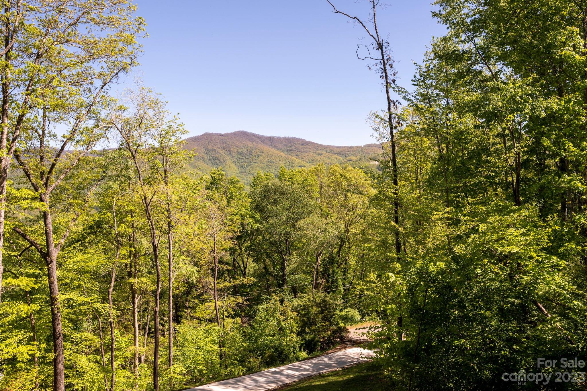 403 Georgia June Lane Swannanoa NC 28778