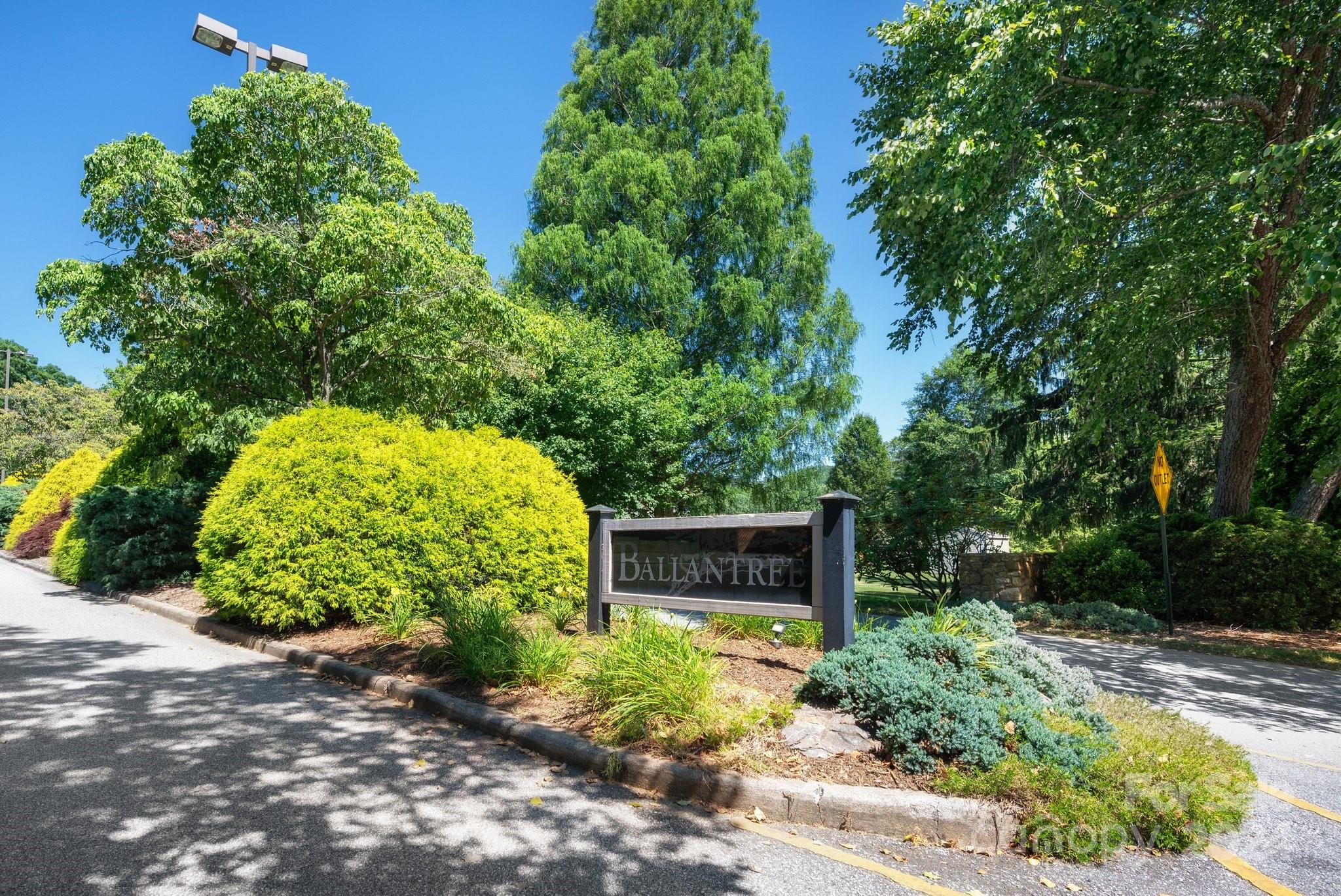 17 Braddock Way Asheville NC 28803