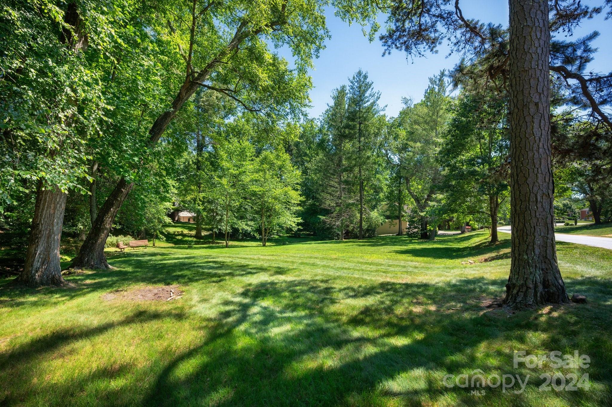 17 Braddock Way Asheville NC 28803