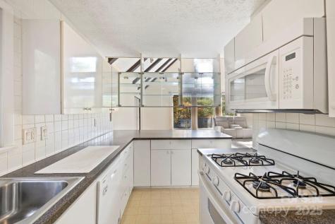 95 & 97 Temple Road Black Mountain NC 28711