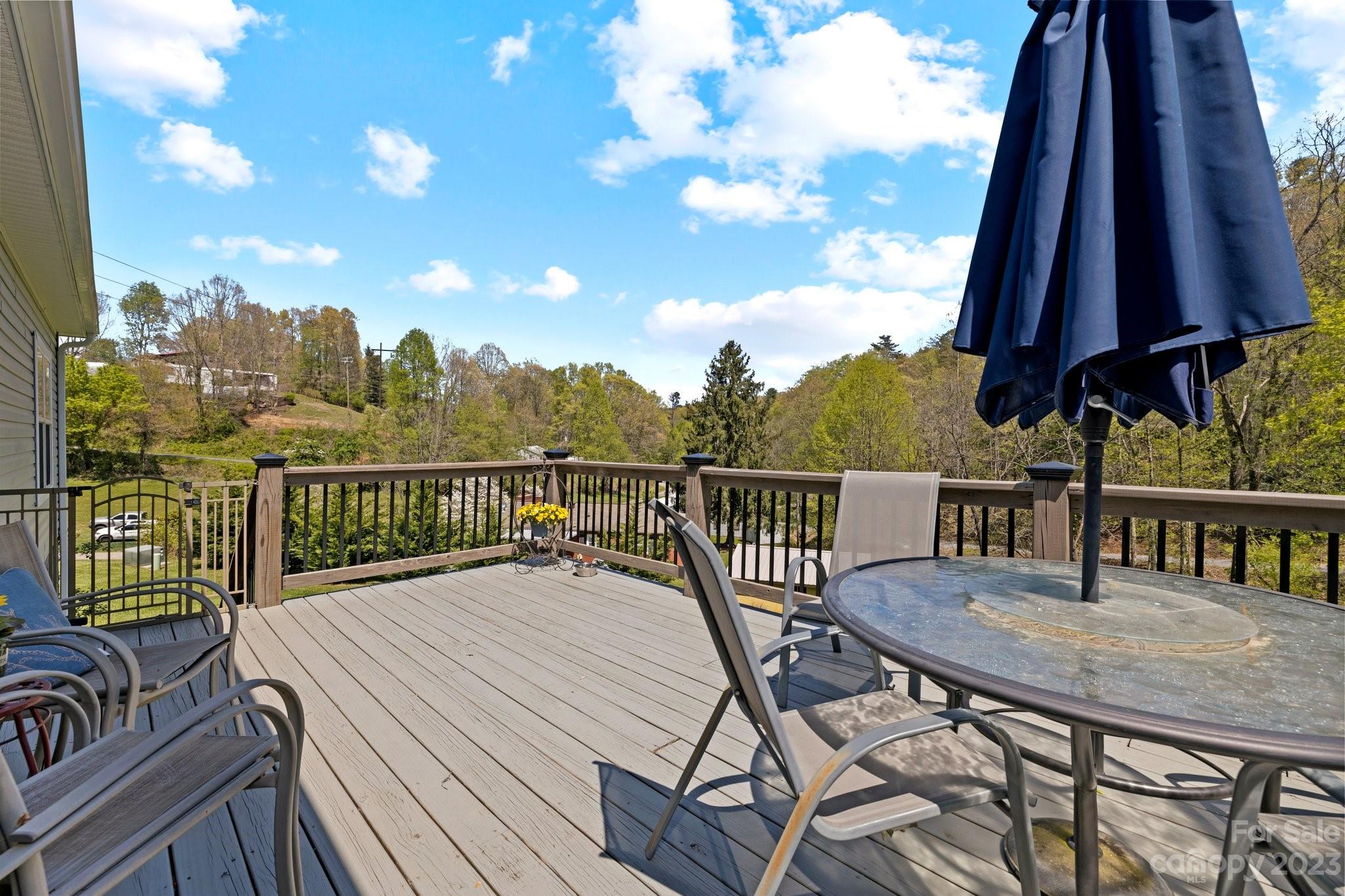 9 Beagle Run Asheville NC 28804