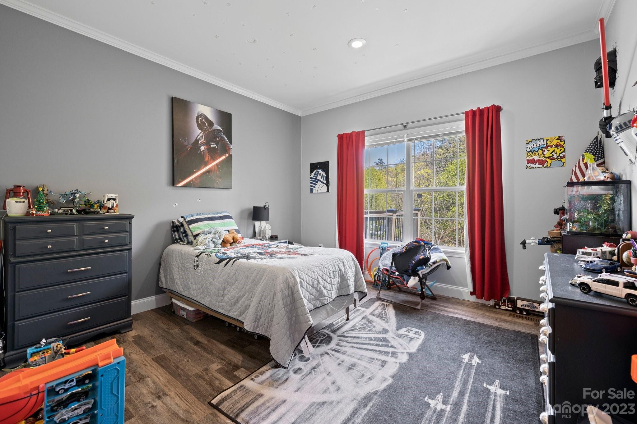 9 Beagle Run Asheville NC 28804