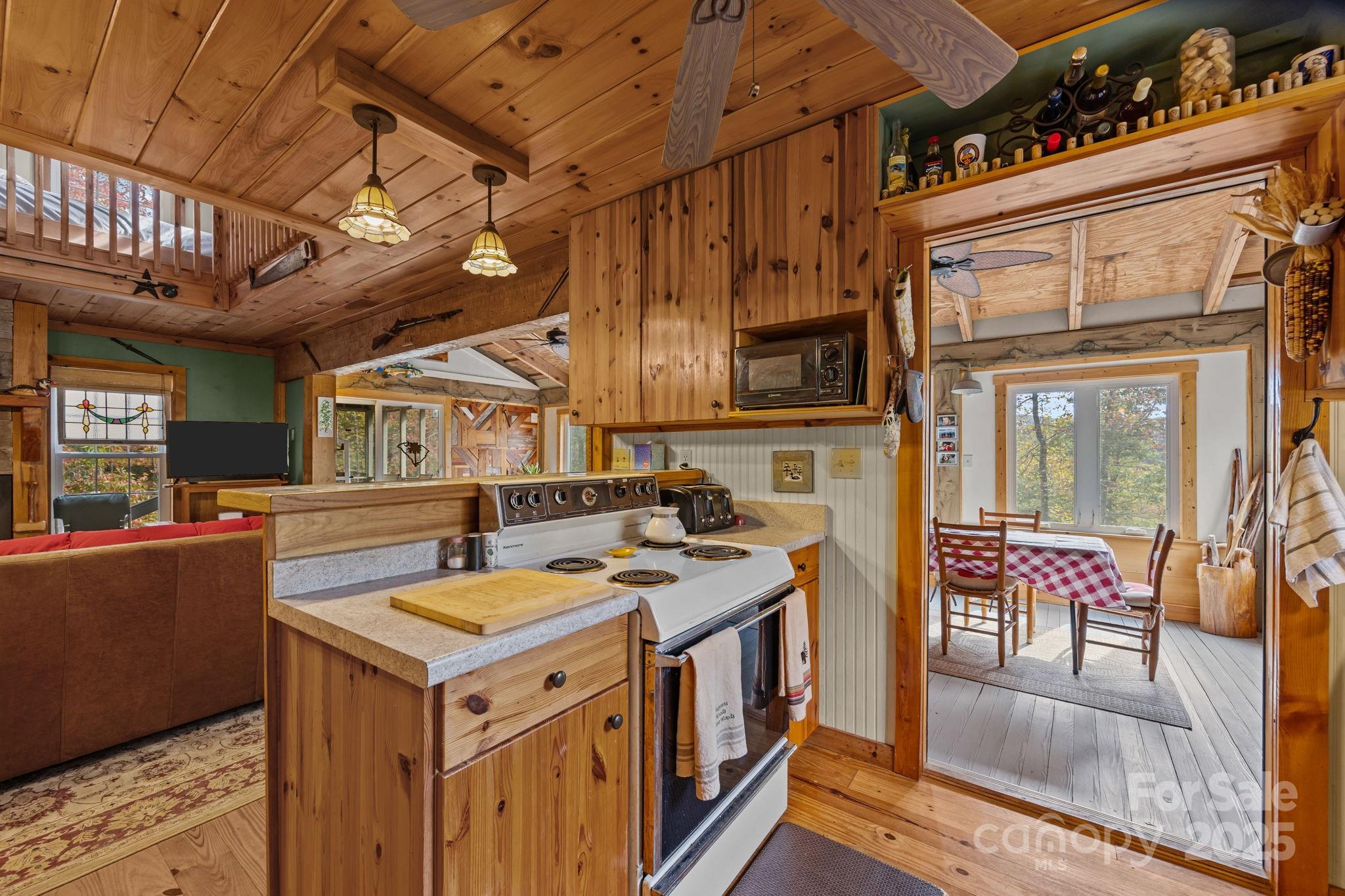 38 Buzzards Rest Trail Saluda NC 28773