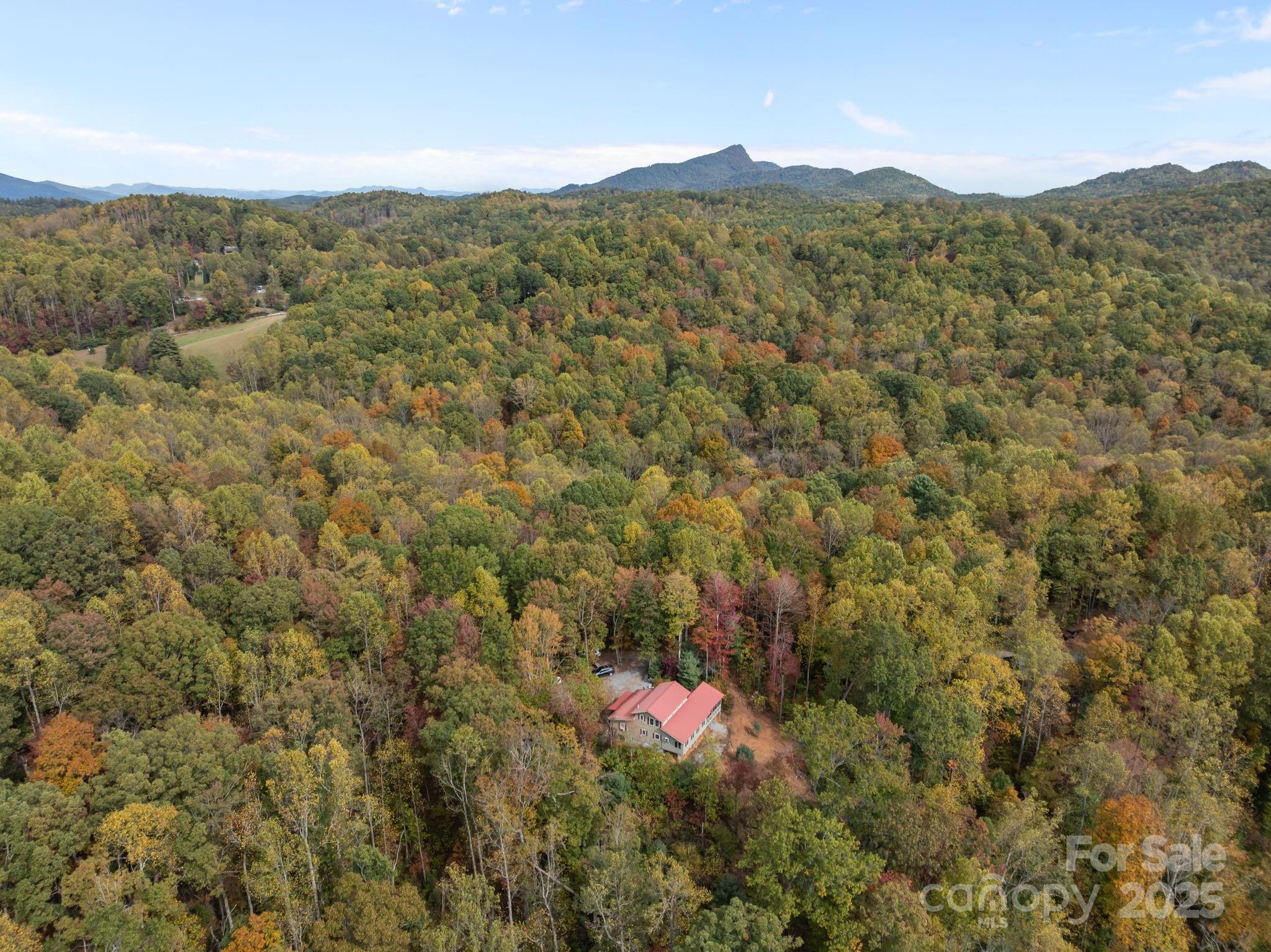 38 Buzzards Rest Trail Saluda NC 28773