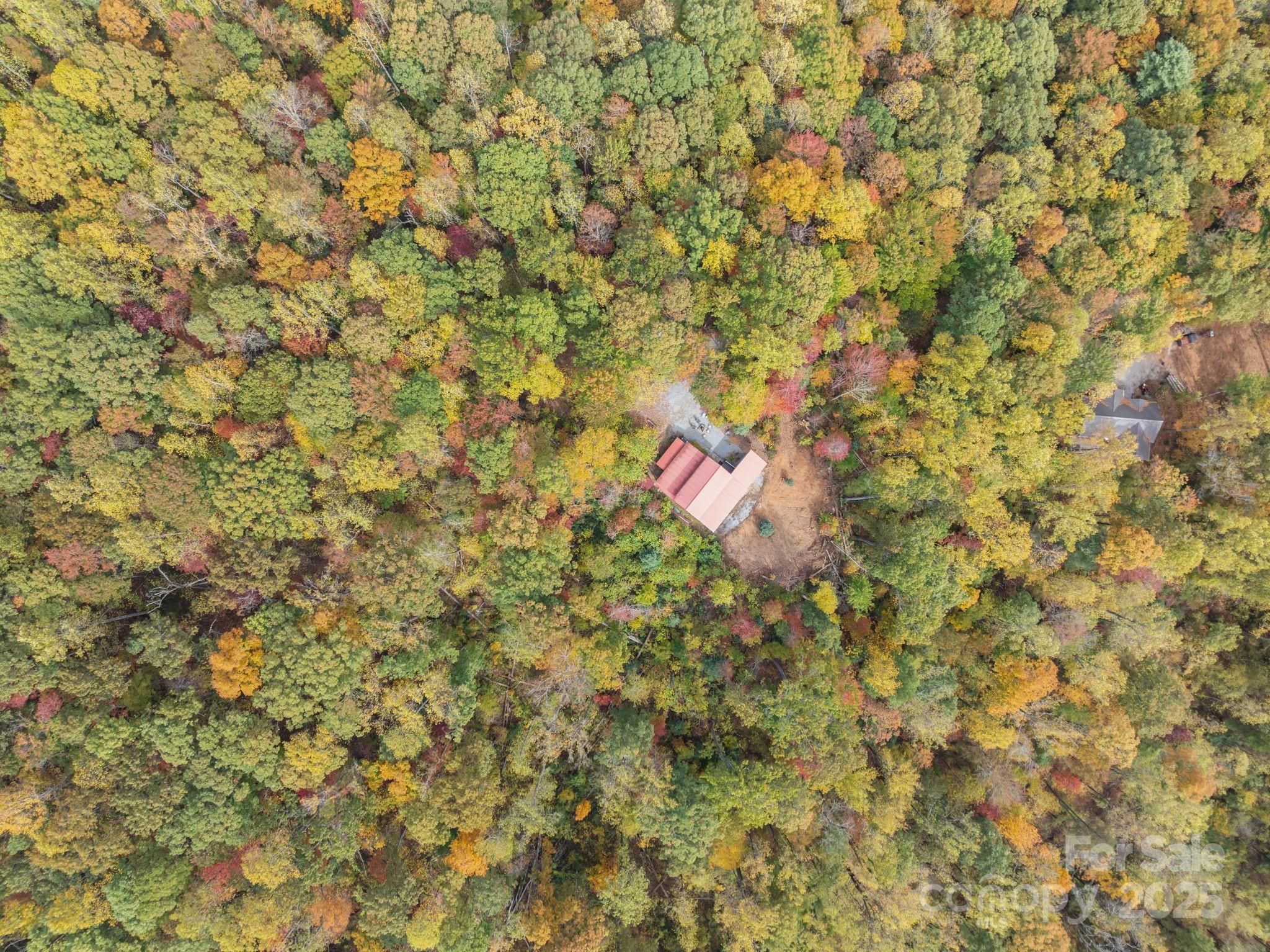 38 Buzzards Rest Trail Saluda NC 28773
