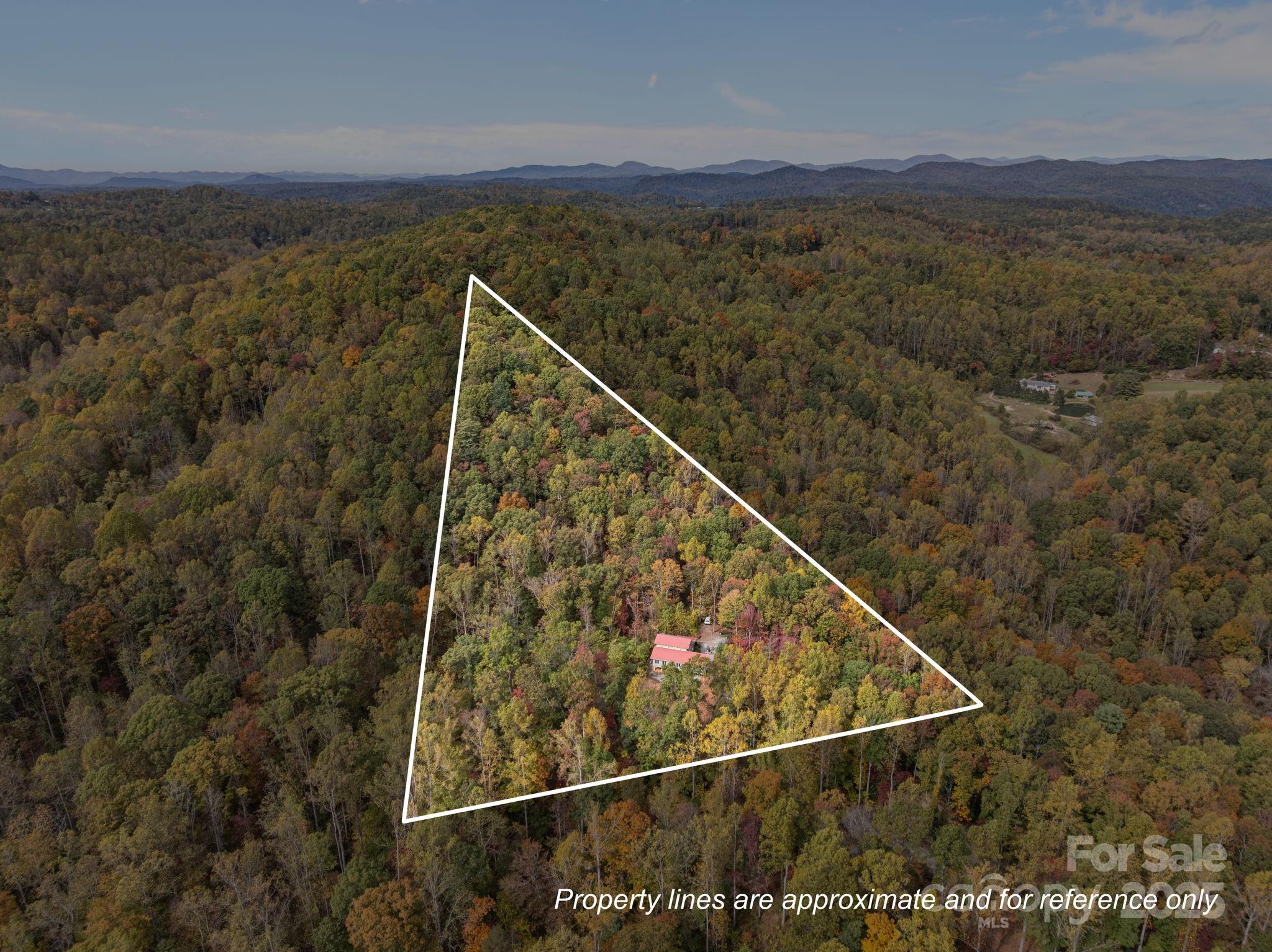 38 Buzzards Rest Trail Saluda NC 28773