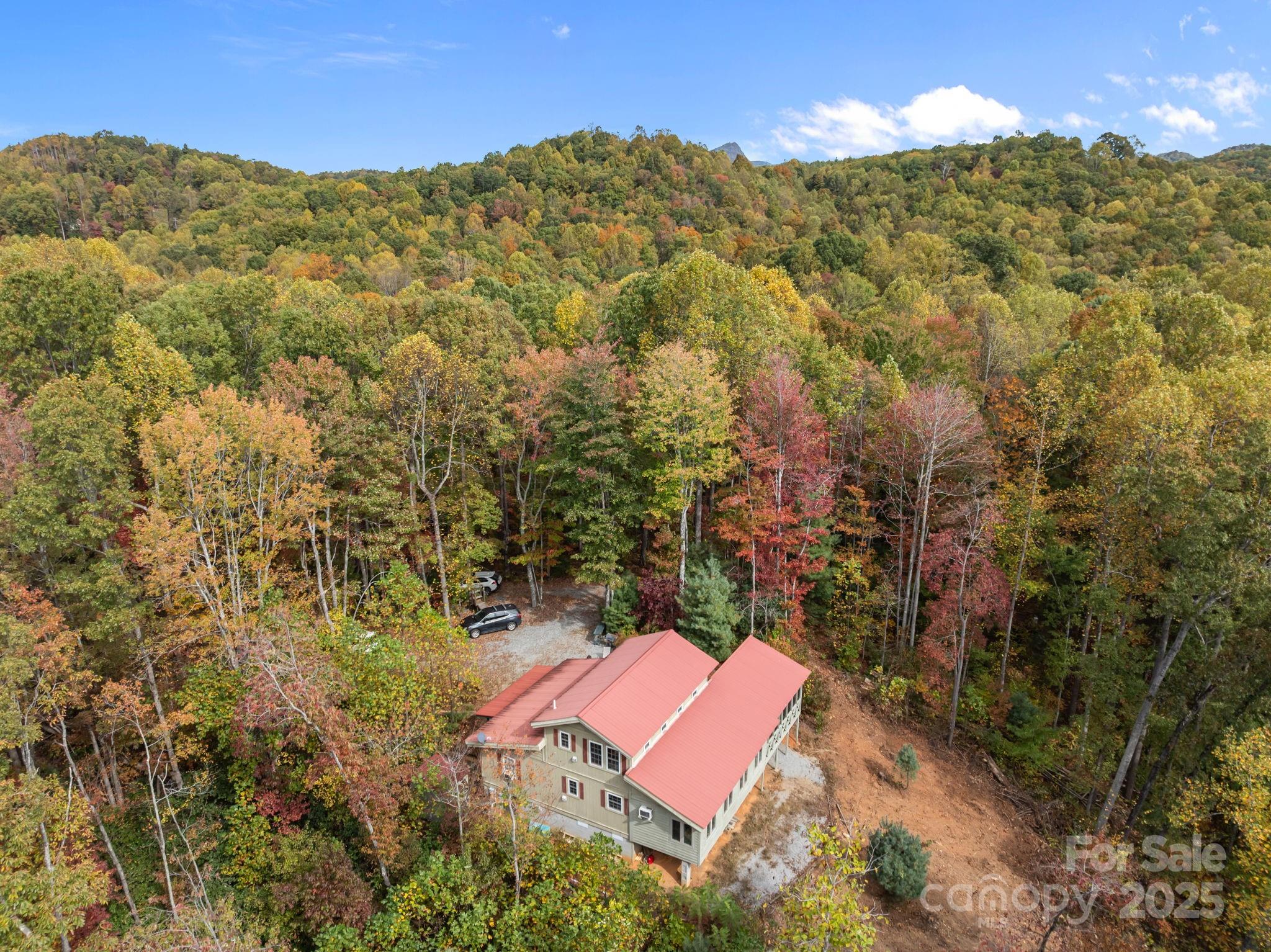 38 Buzzards Rest Trail Saluda NC 28773
