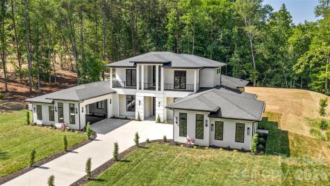 11220 Aubrey Elena Court Davidson NC 28036