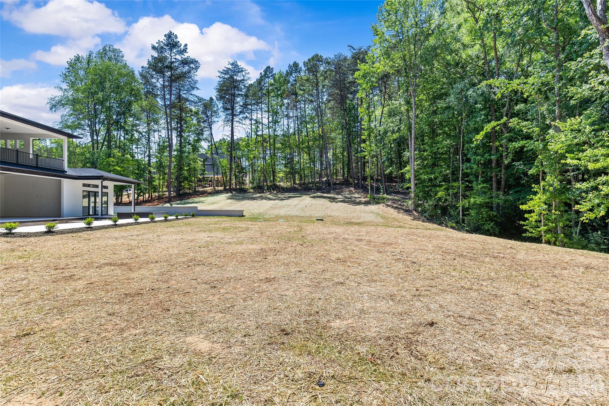 11220 Aubrey Elena Court Davidson NC 28036