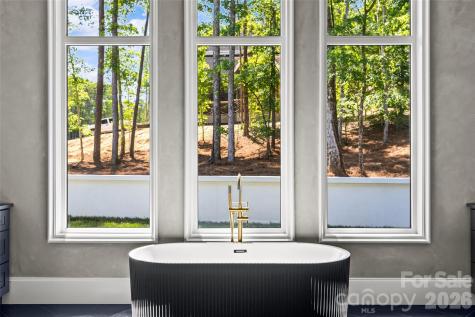 11220 Aubrey Elena Court Davidson NC 28036