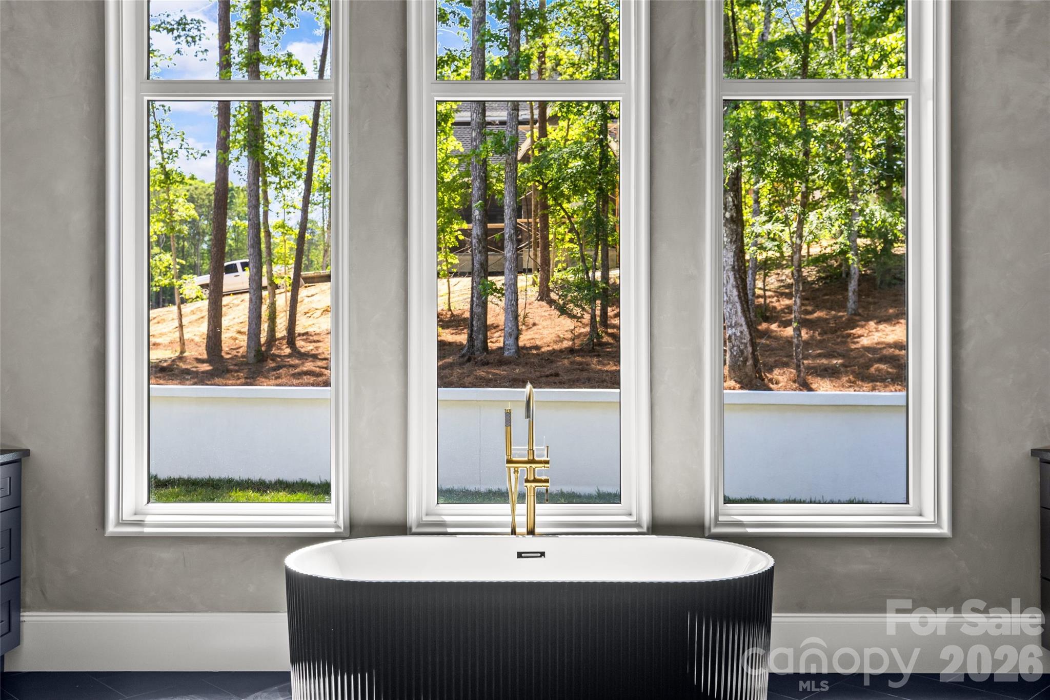 11220 Aubrey Elena Court Davidson NC 28036