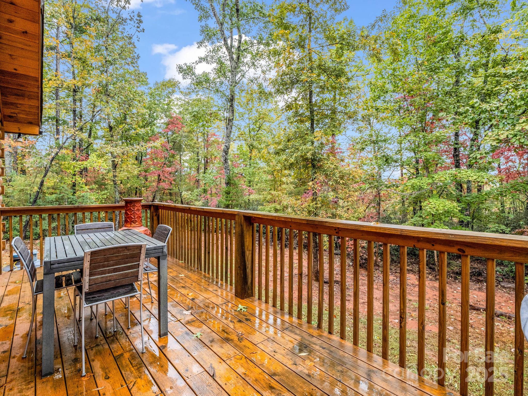 174 Doves Way Lake Lure NC 28746