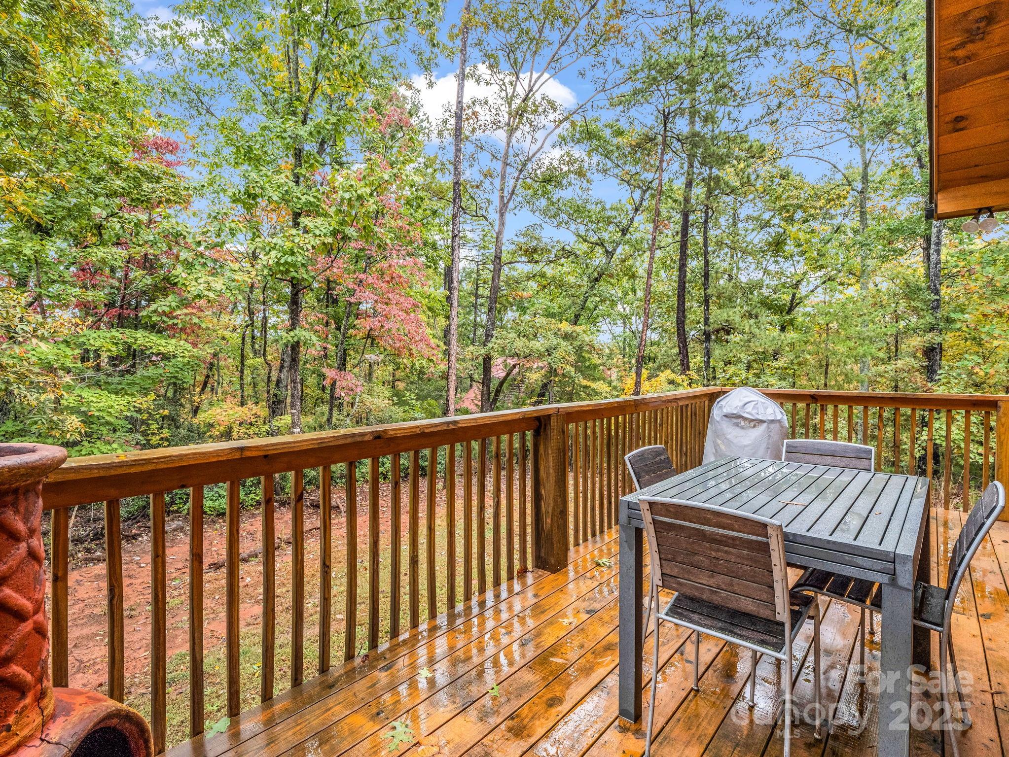 174 Doves Way Lake Lure NC 28746
