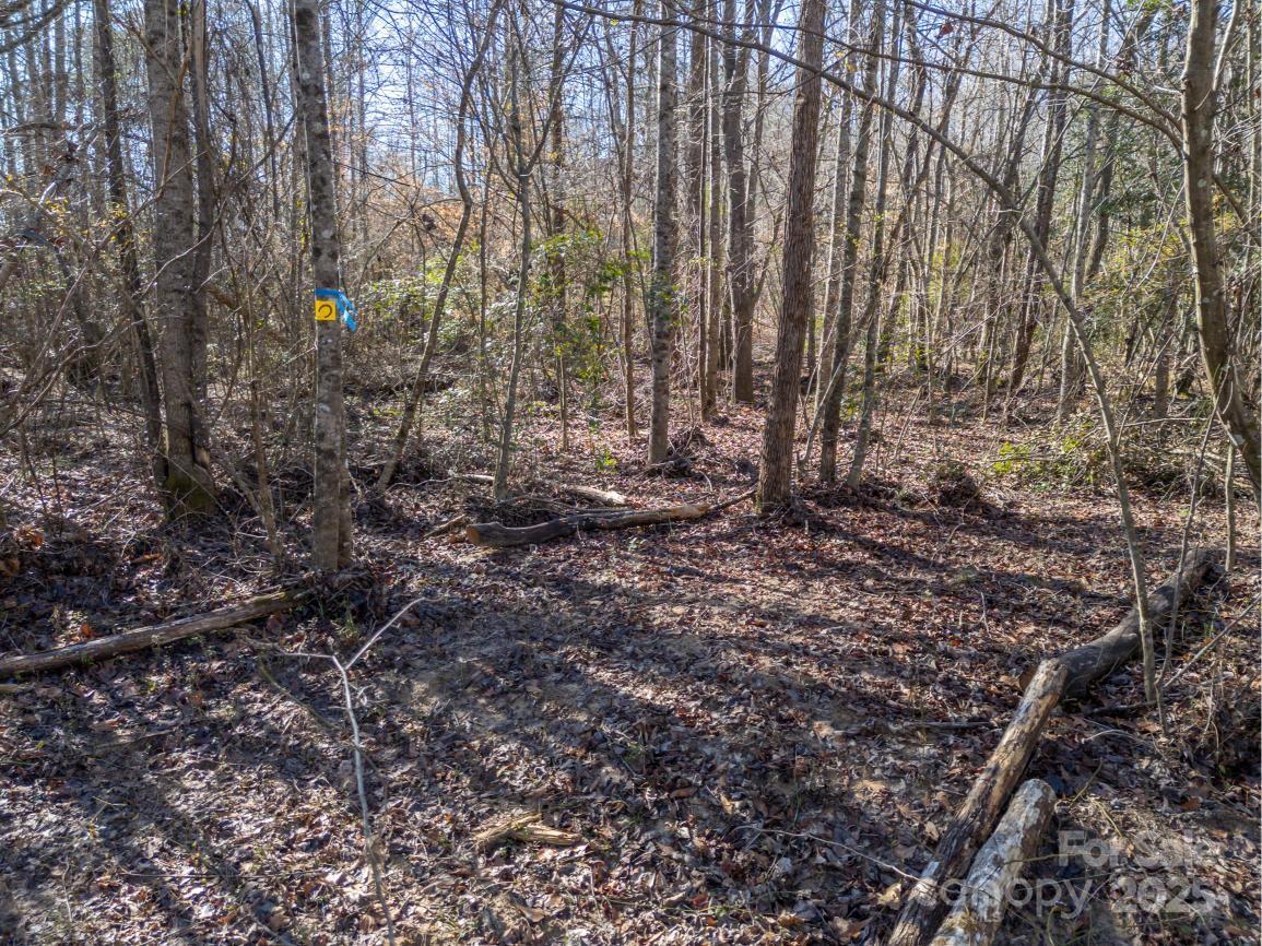 1418 John Smith Road Columbus NC 28722