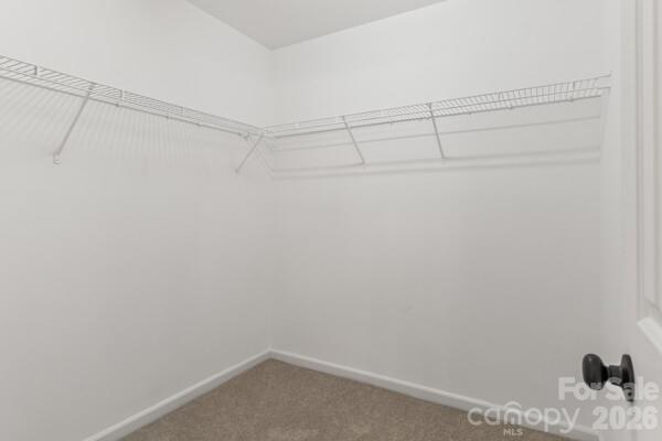 11619 Planters Estates Drive Charlotte NC 28278