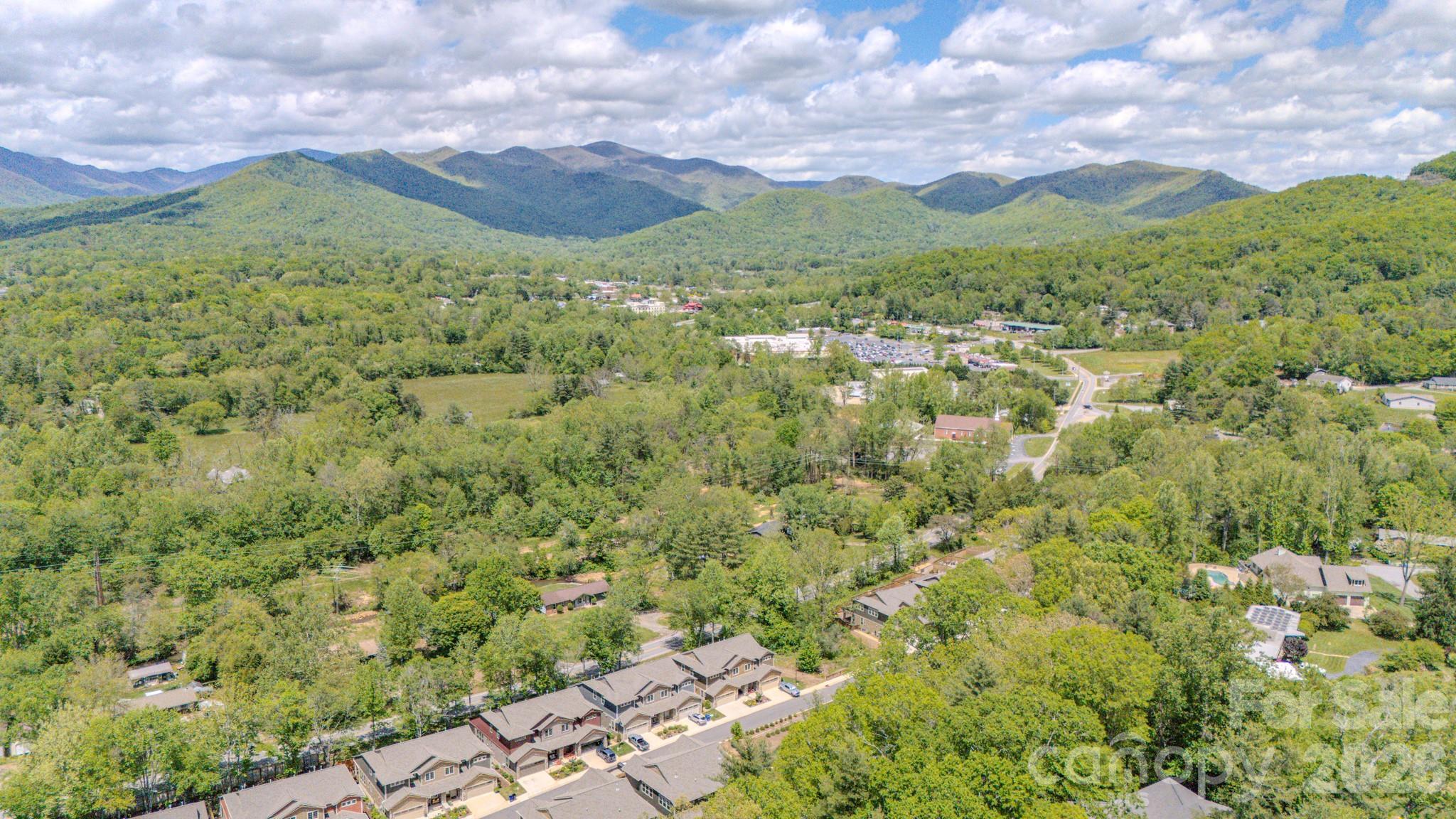 552 Sweet Birch Park Lane Black Mountain NC 28711