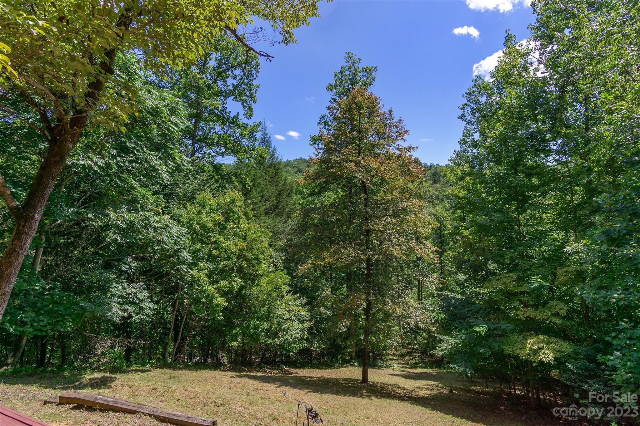 187 Yates Lane Lake Lure NC 28746
