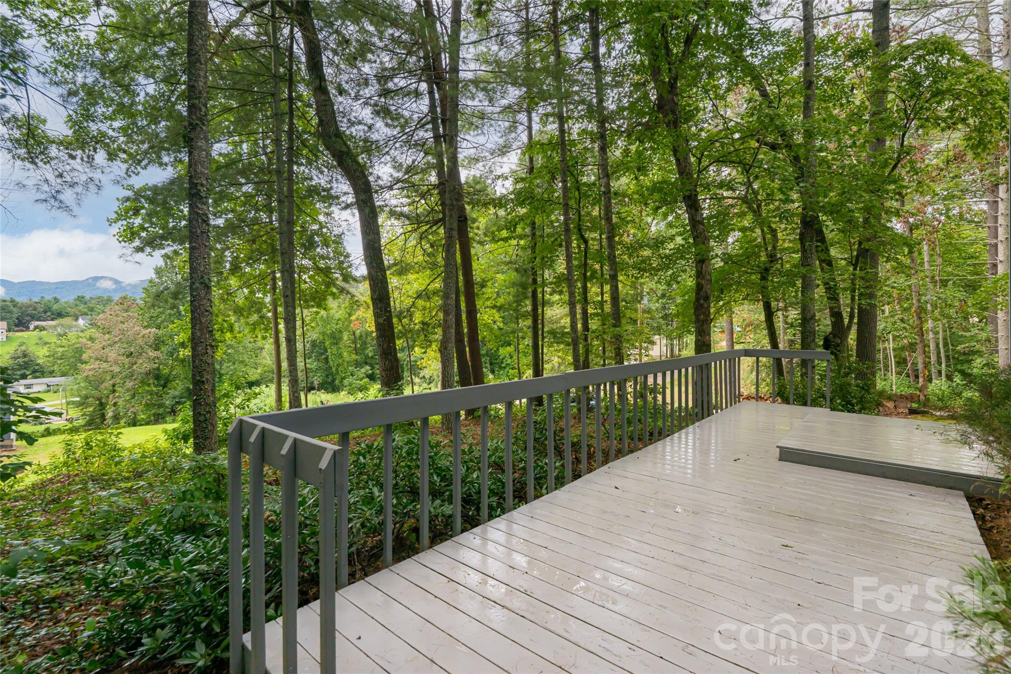 427 Shadowwood Drive Leicester NC 28748