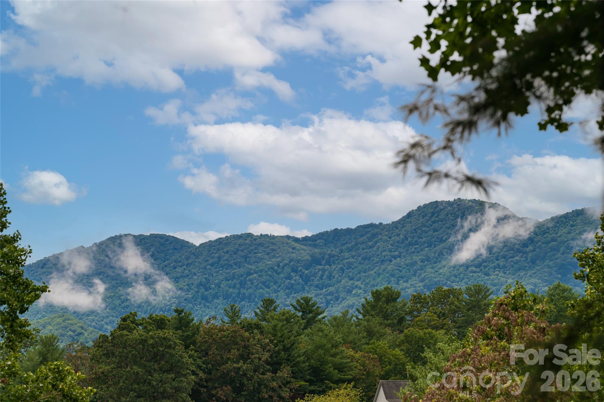 427 Shadowwood Drive Leicester NC 28748