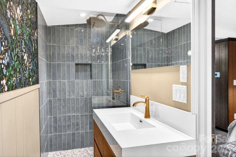 4 Baird Lane Asheville NC 28804