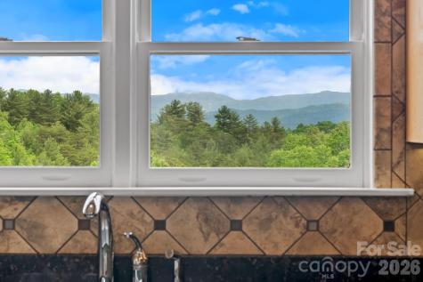 77 Paradise Ridge Marshall NC 28753