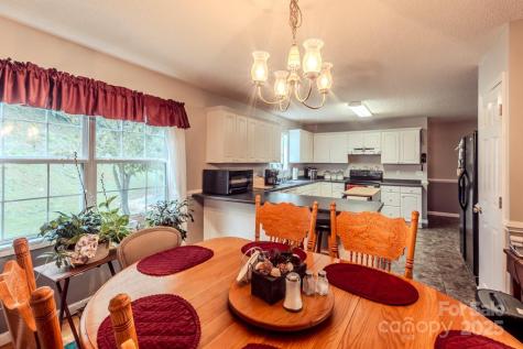 48 Open Range Drive Barnardsville NC 28709