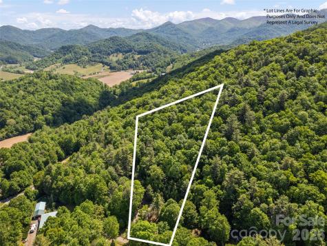 102 Serenity Lane Clyde NC 28721