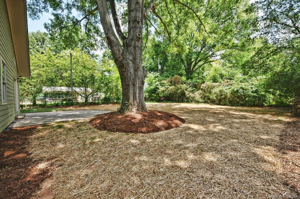 3827 Park Road Charlotte NC 28209