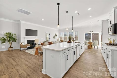 111 Rhuidean Court Troutman NC 28166