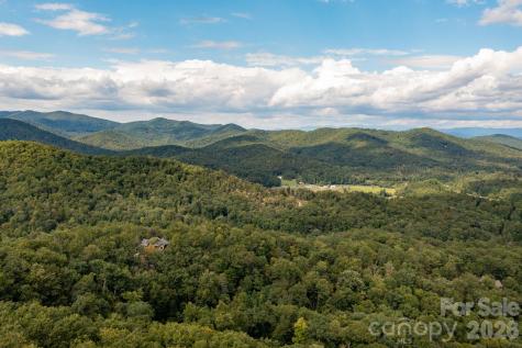 559 Shining Rock Path Horse Shoe NC 28742