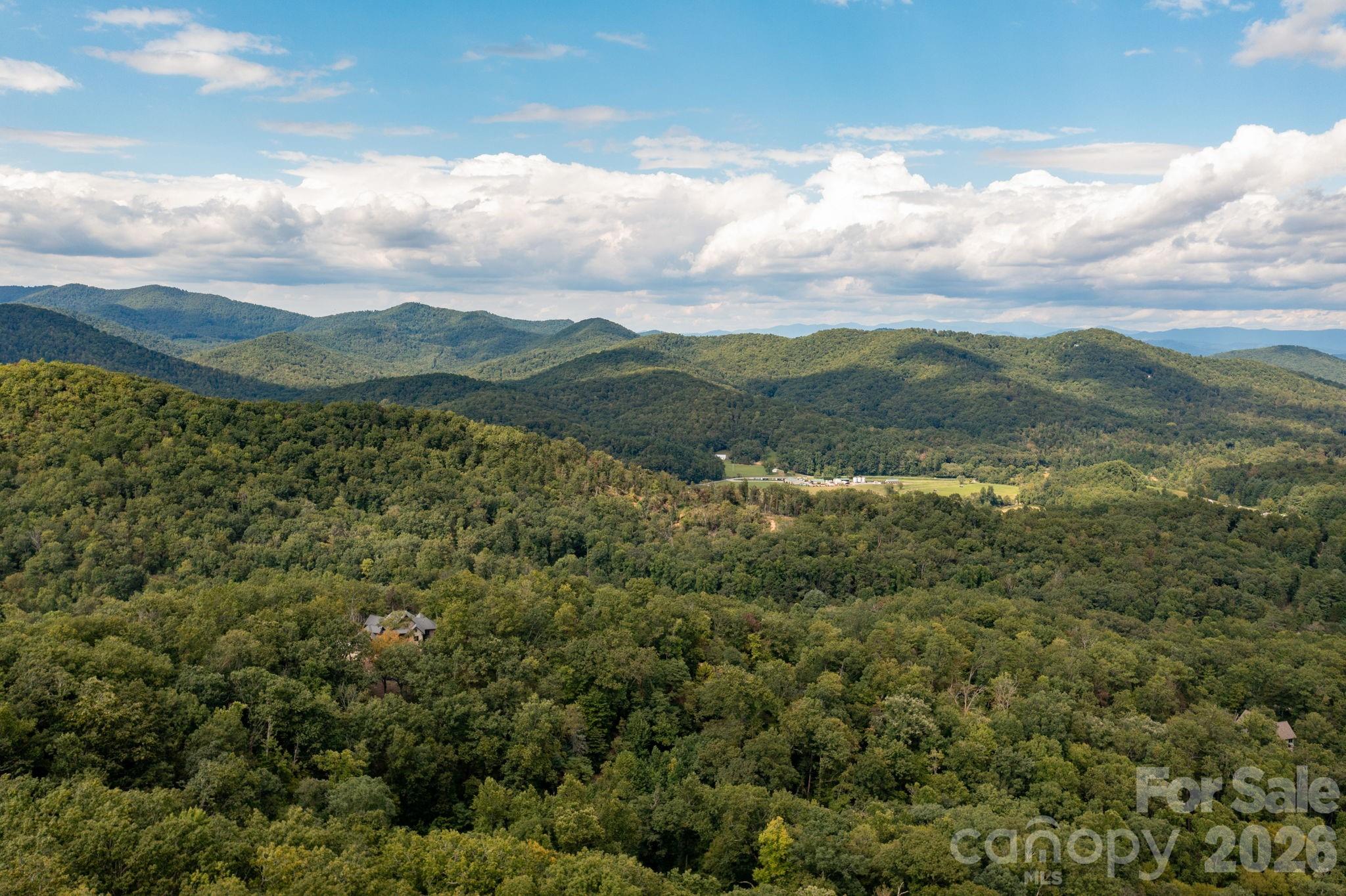 559 Shining Rock Path Horse Shoe NC 28742