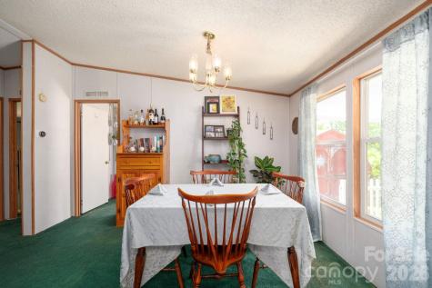 66 Green Oak Road Asheville NC 28804
