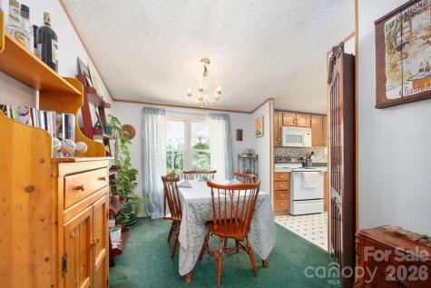 66 Green Oak Road Asheville NC 28804