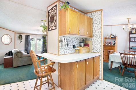 66 Green Oak Road Asheville NC 28804