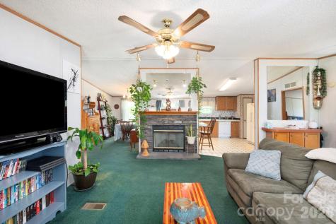 66 Green Oak Road Asheville NC 28804