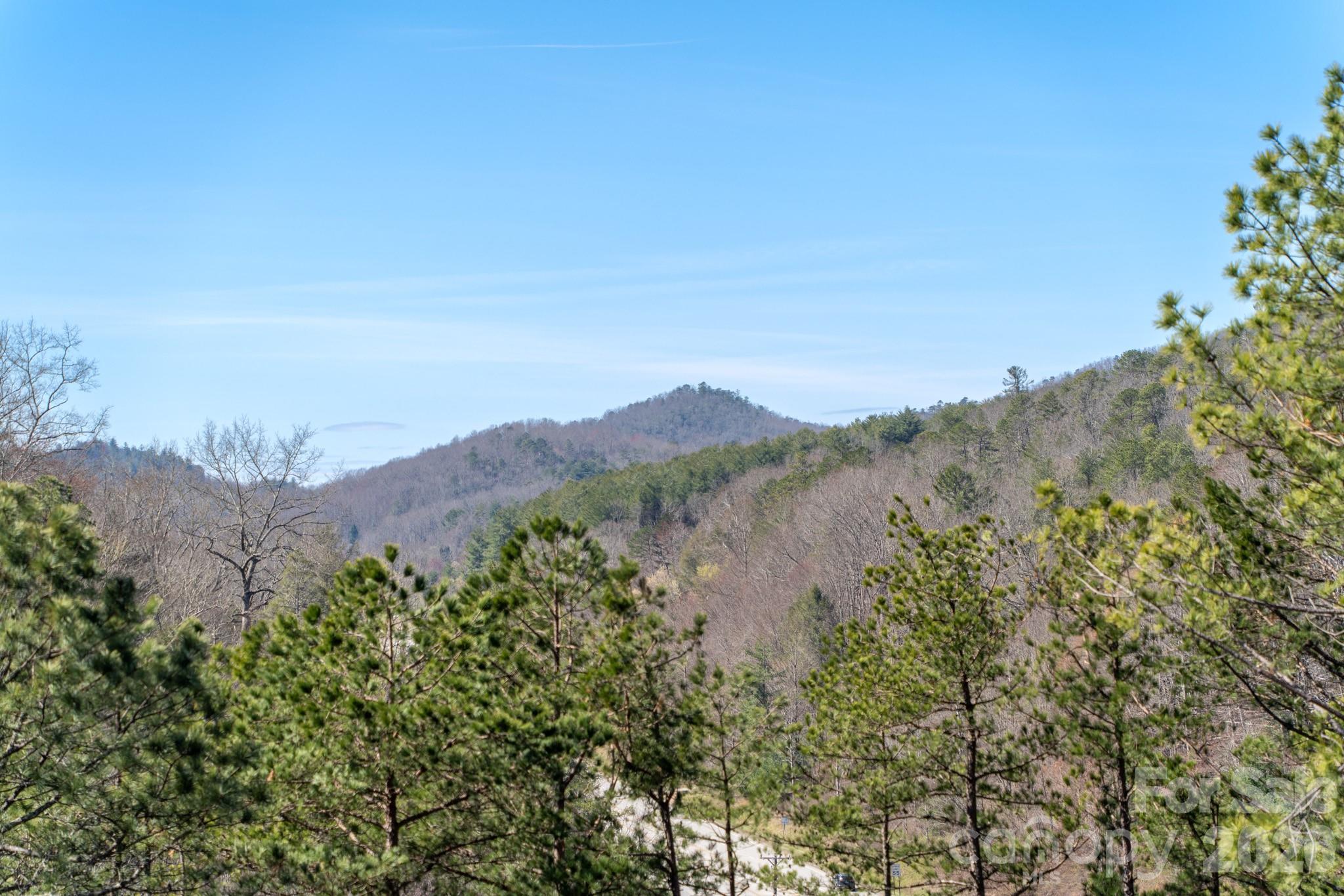74 Jeranna Road Mills River NC 28759