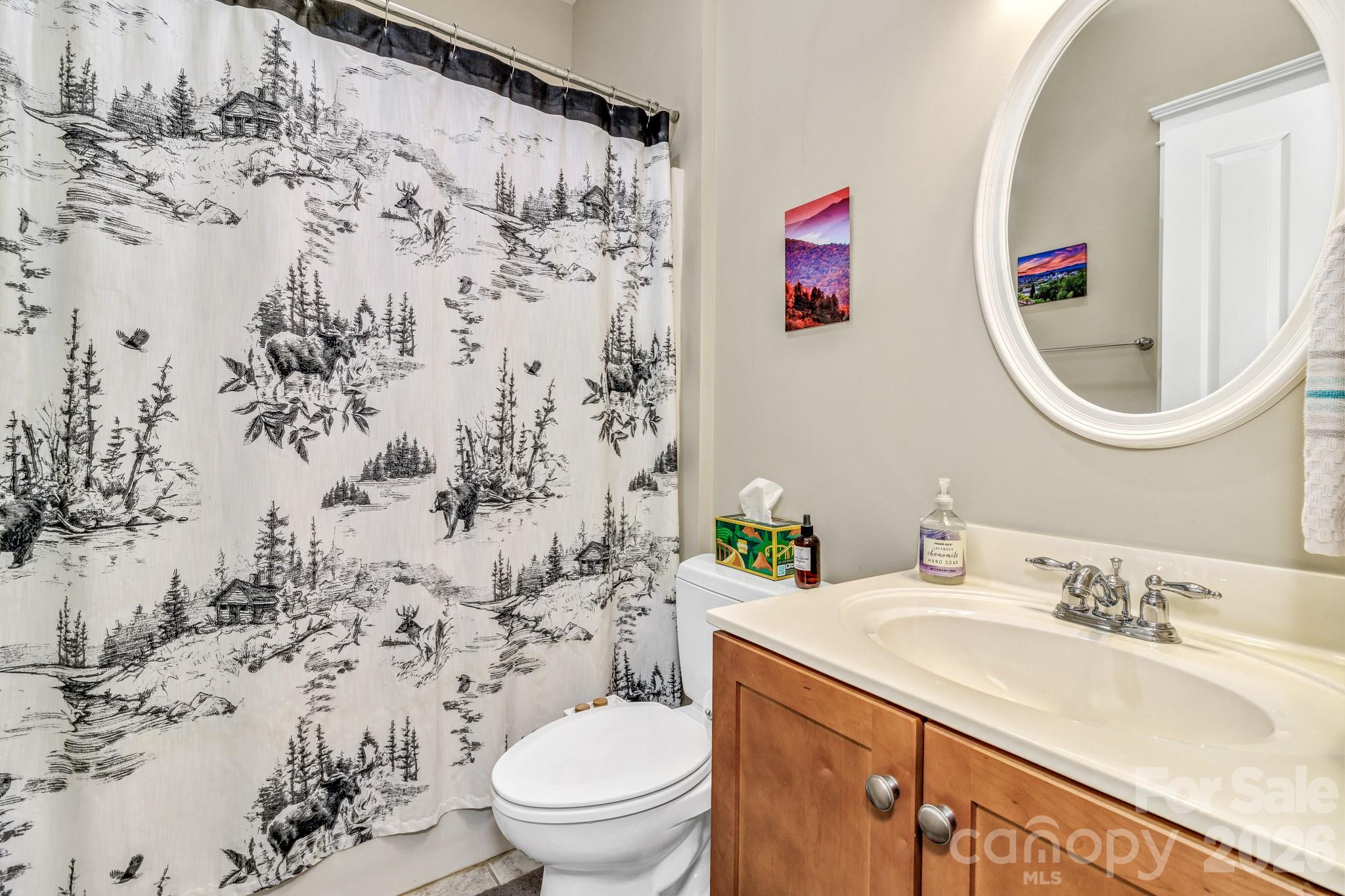 12 Hoolet Court Candler NC 28715