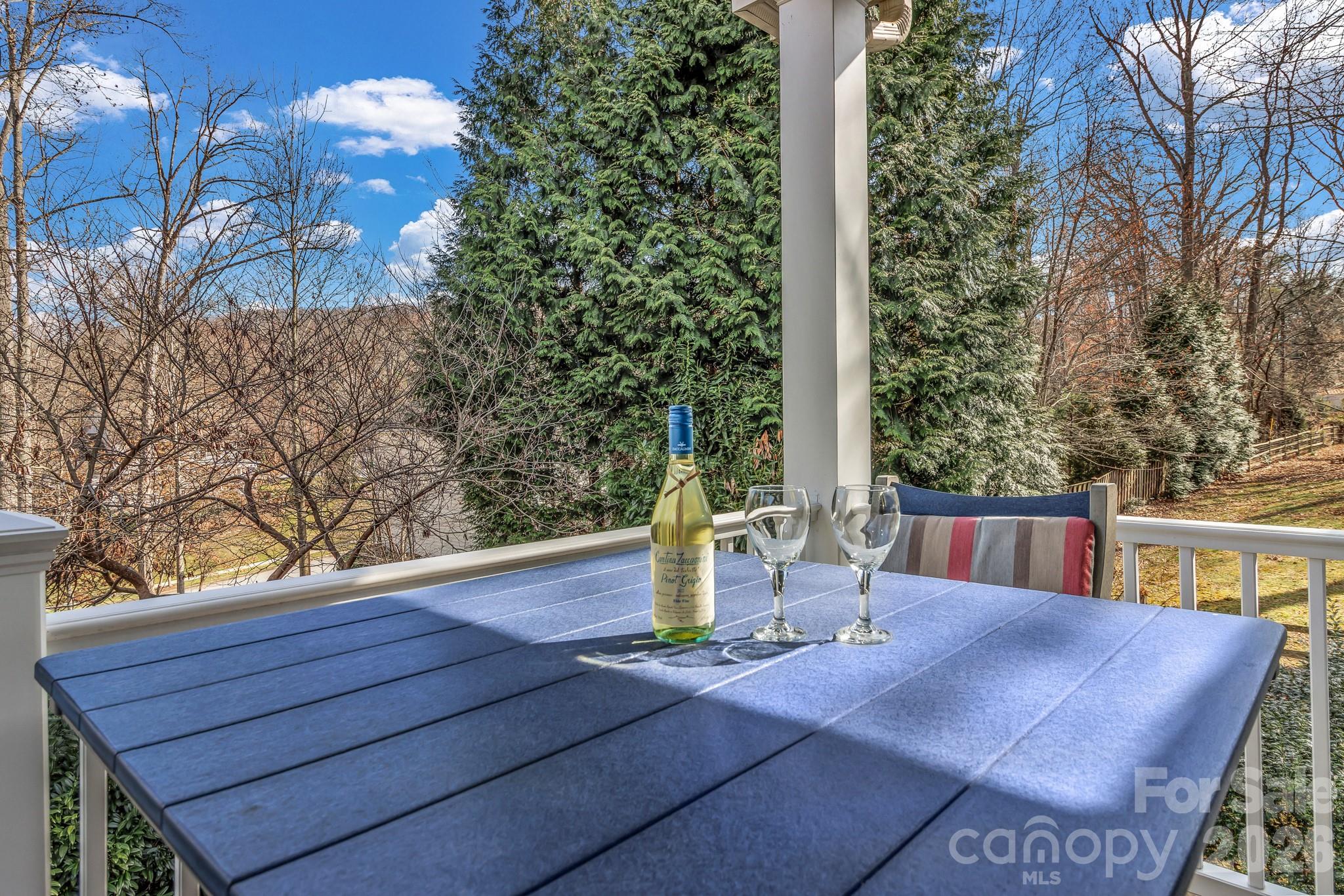 12 Hoolet Court Candler NC 28715