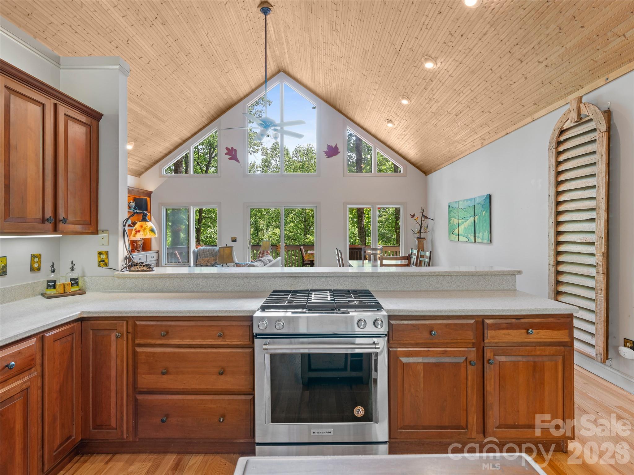 26 Walnut Drive Mills River NC 28759