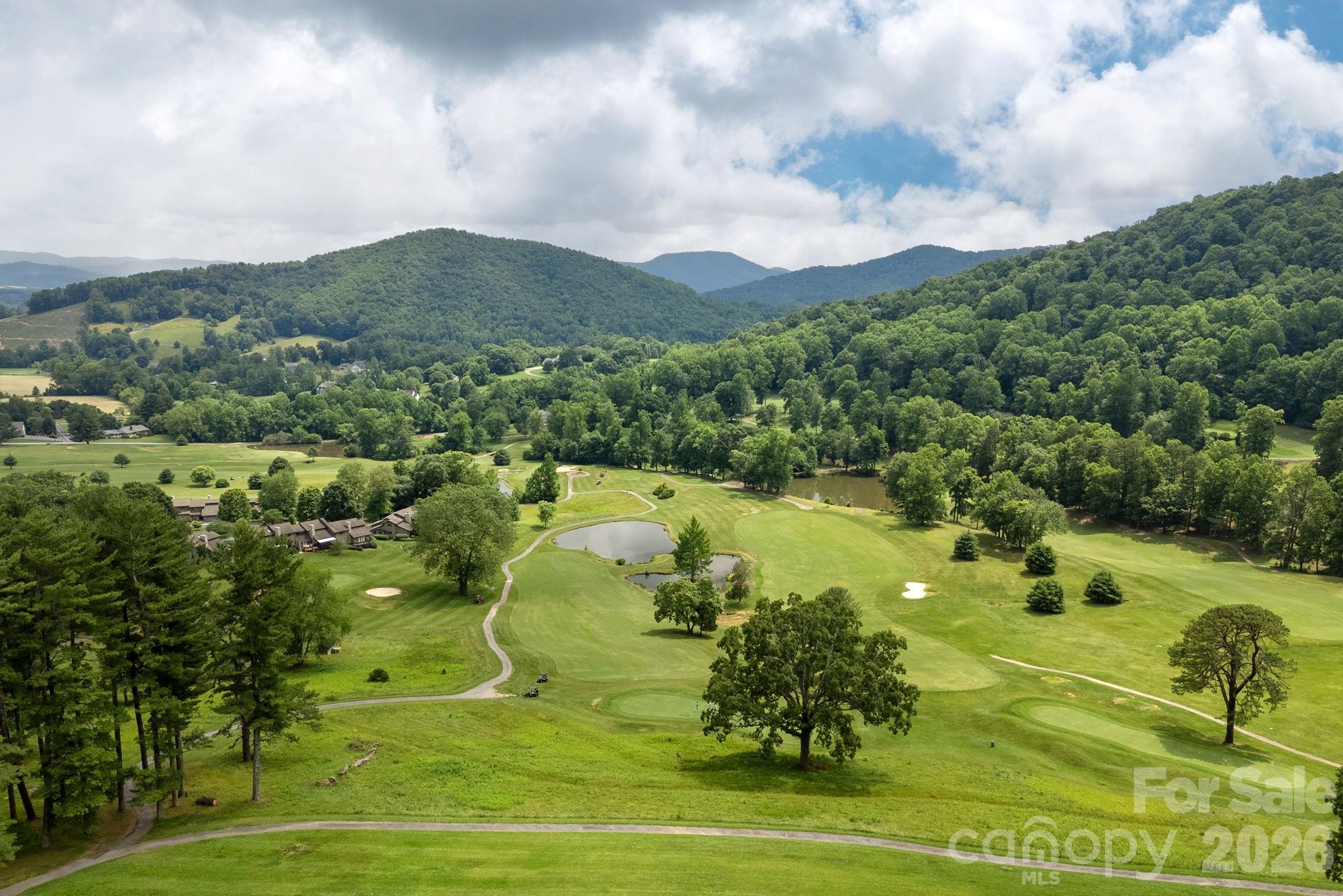 26 Walnut Drive Mills River NC 28759