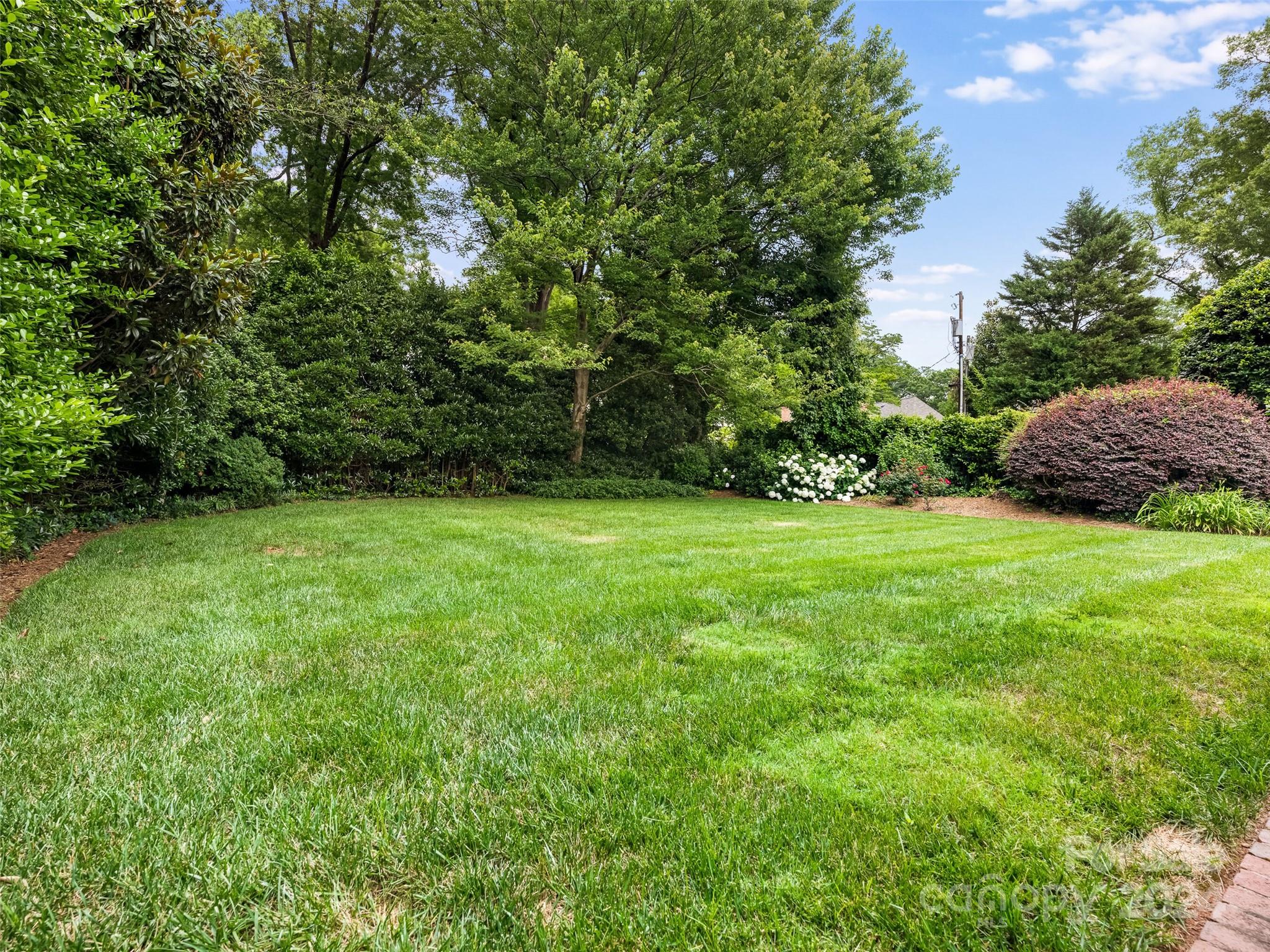 2023 Princeton Avenue Charlotte NC 28207