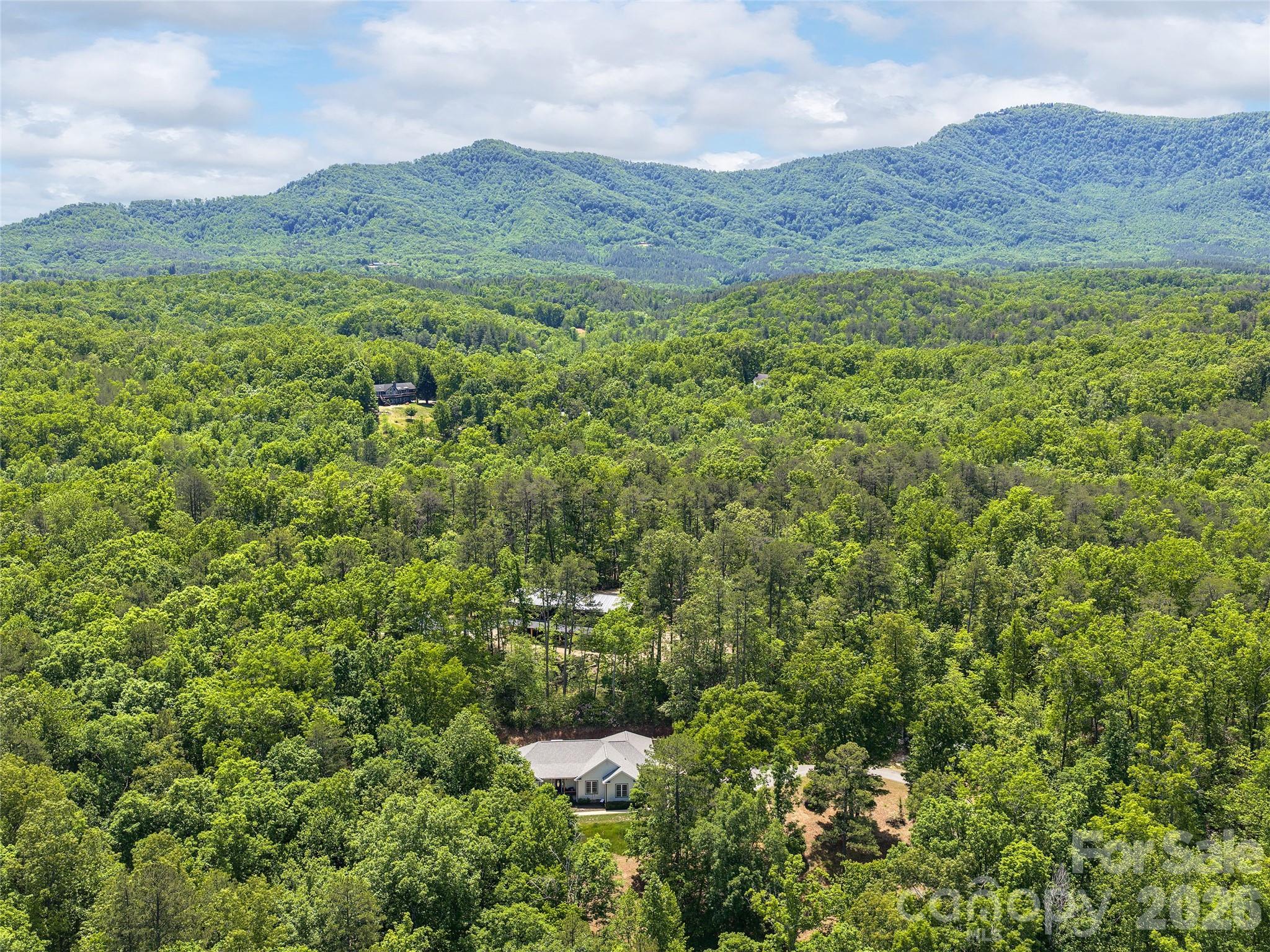 232 Wild Haven Way Mill Spring NC 28756