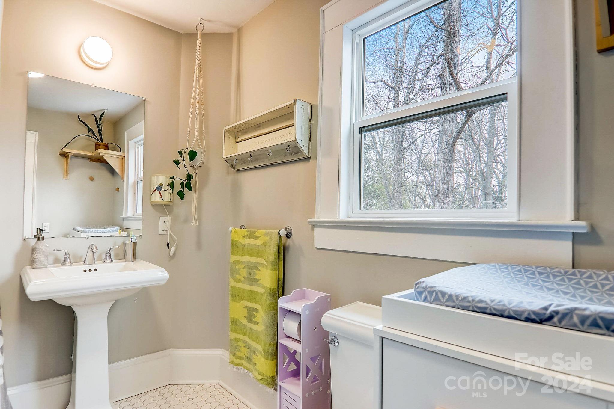 18 Princeton Drive Asheville NC 28806