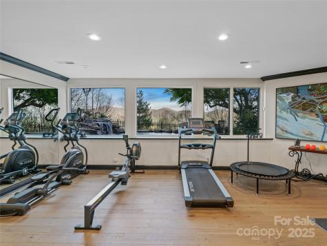 10 Beaverbrook Court Asheville NC 28804